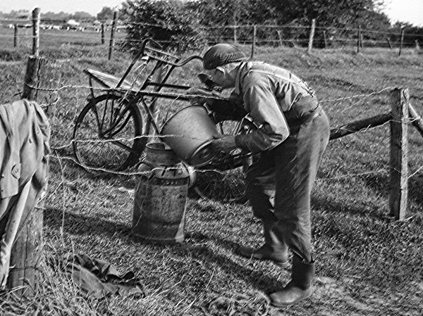 Boer Willemsen